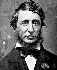 Read Henry David Thoreau