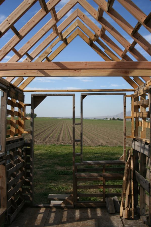 tiny-free-house-view