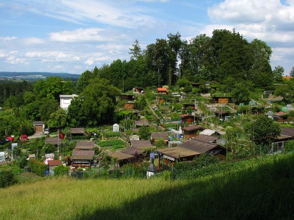 Typical allotment garden on Käferberg hill in Zürich, Switzerland