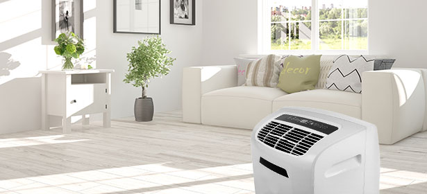 14 Recommended Portable Air Conditioners in 2020 – TinyHouseDesign