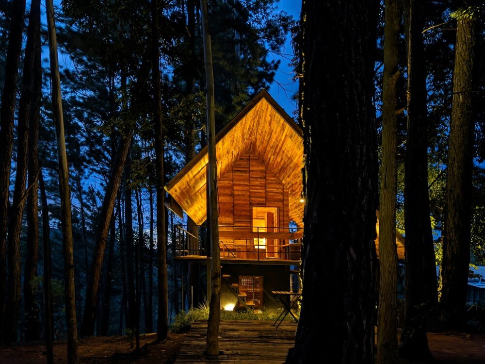 Wooden cabin in a forest